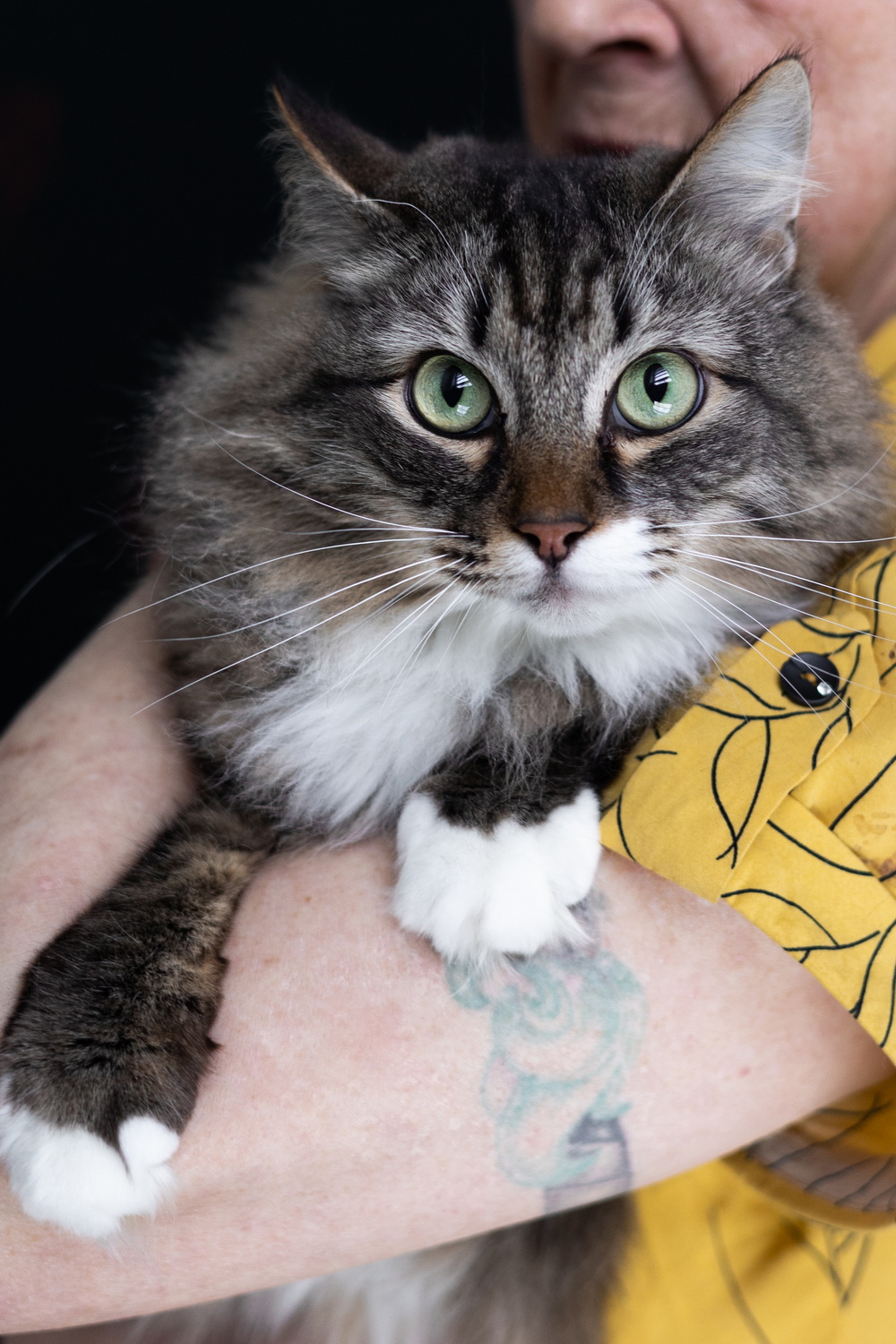 ph: Елена Тимофеева