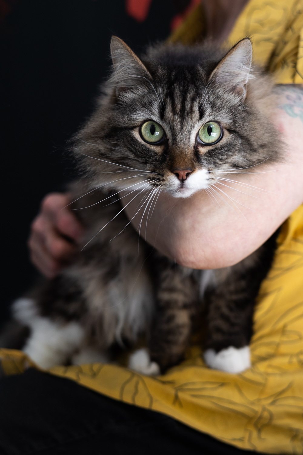 ph: Елена Тимофеева