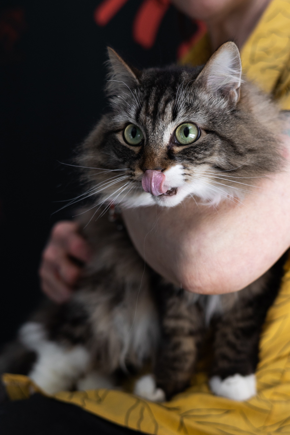 ph: Елена Тимофеева