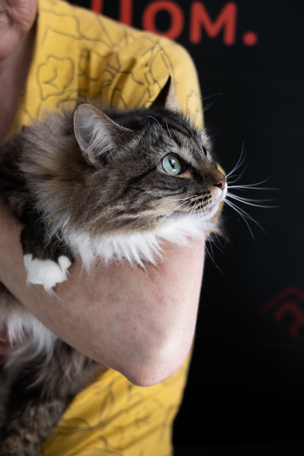 ph: Елена Тимофеева