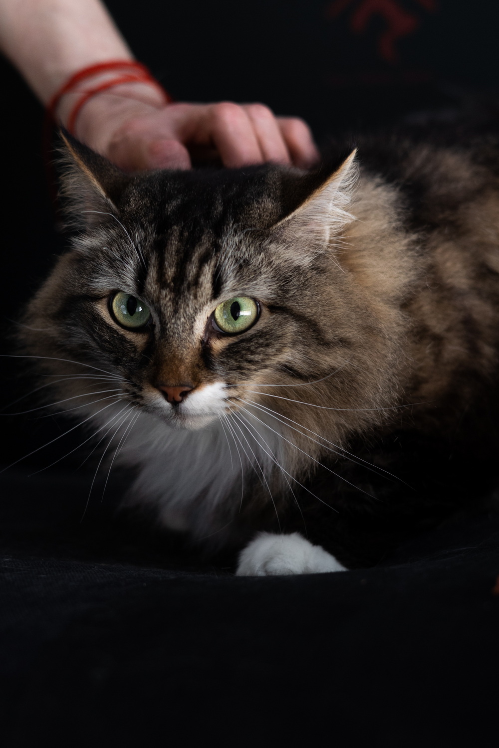 ph: Елена Тимофеева