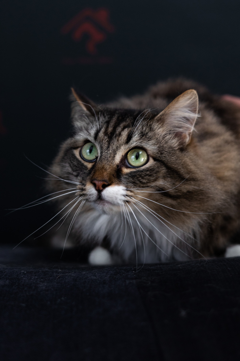 ph: Елена Тимофеева