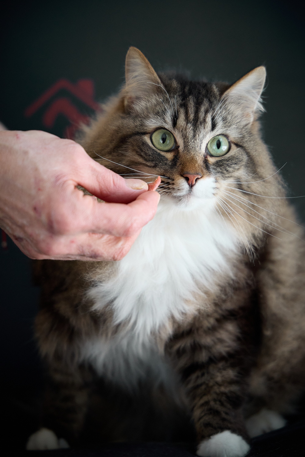 ph: Николай Коба