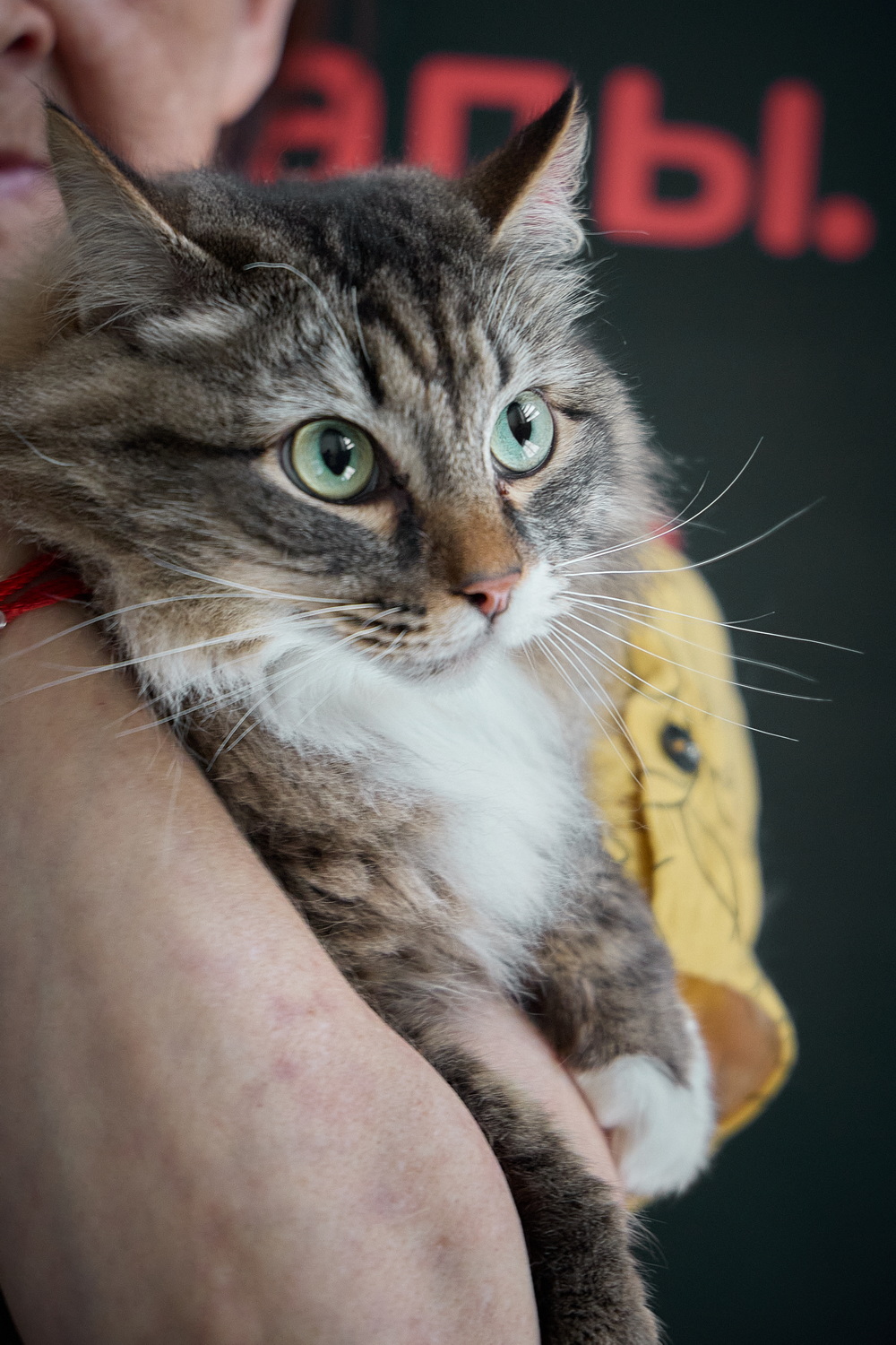 ph: Николай Коба