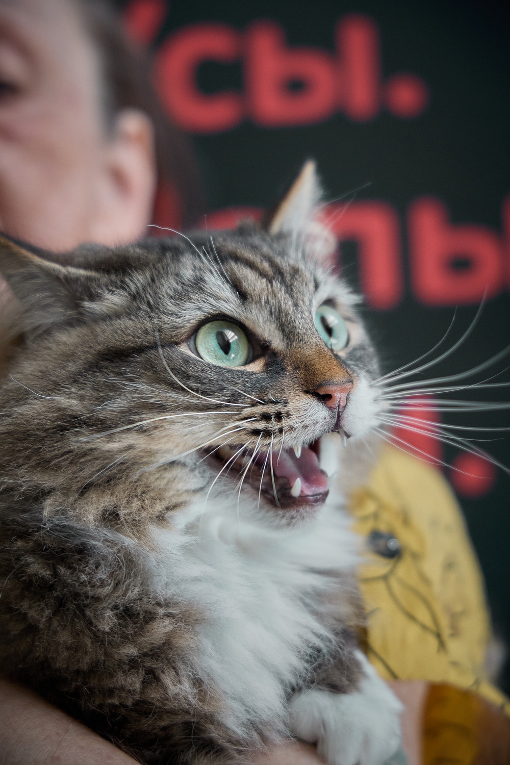 ph: Николай Коба