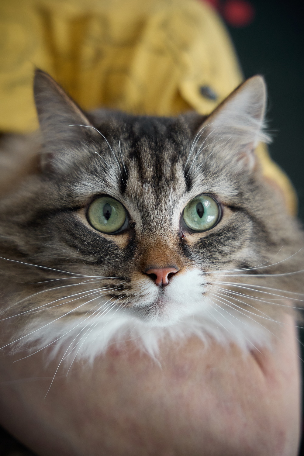 ph: Николай Коба