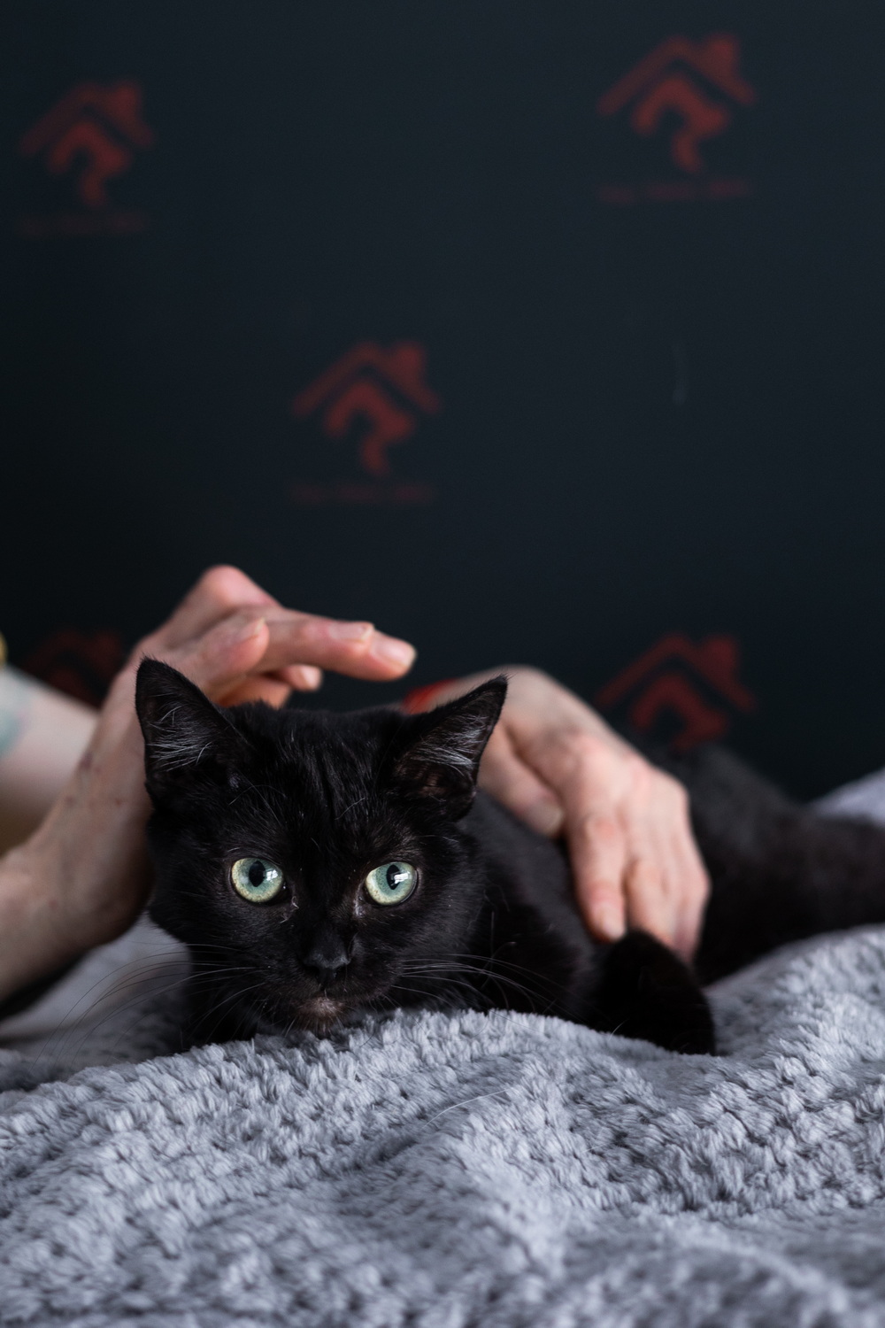 ph: Елена Тимофеева