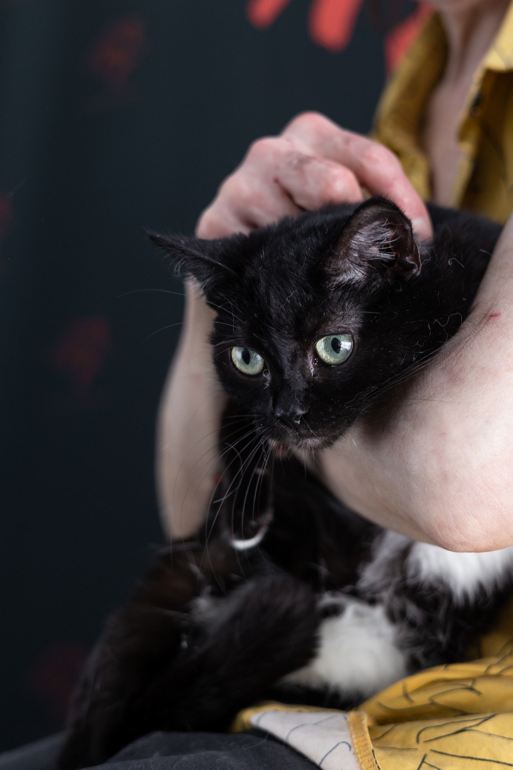 ph: Елена Тимофеева