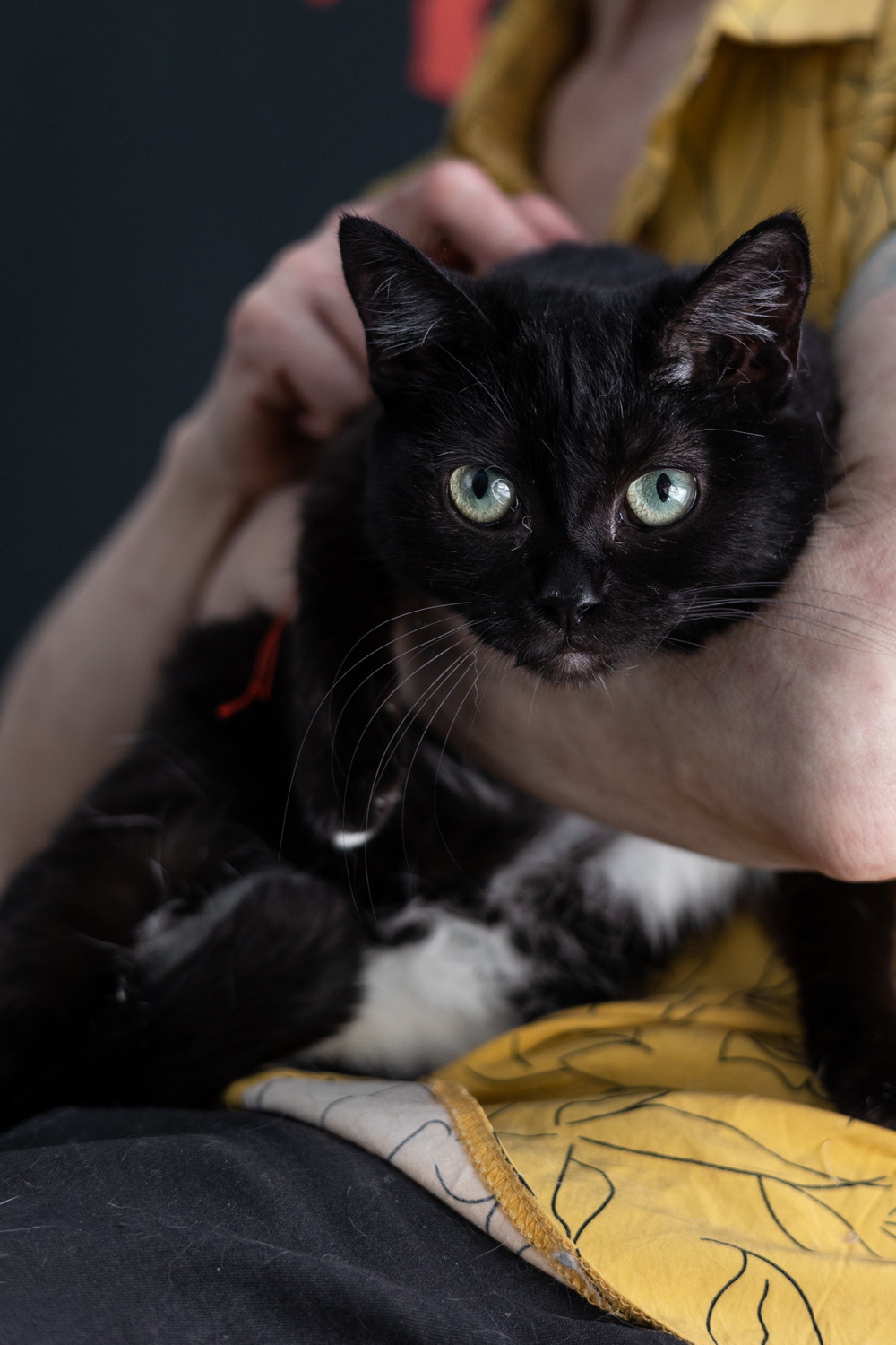 ph: Елена Тимофеева