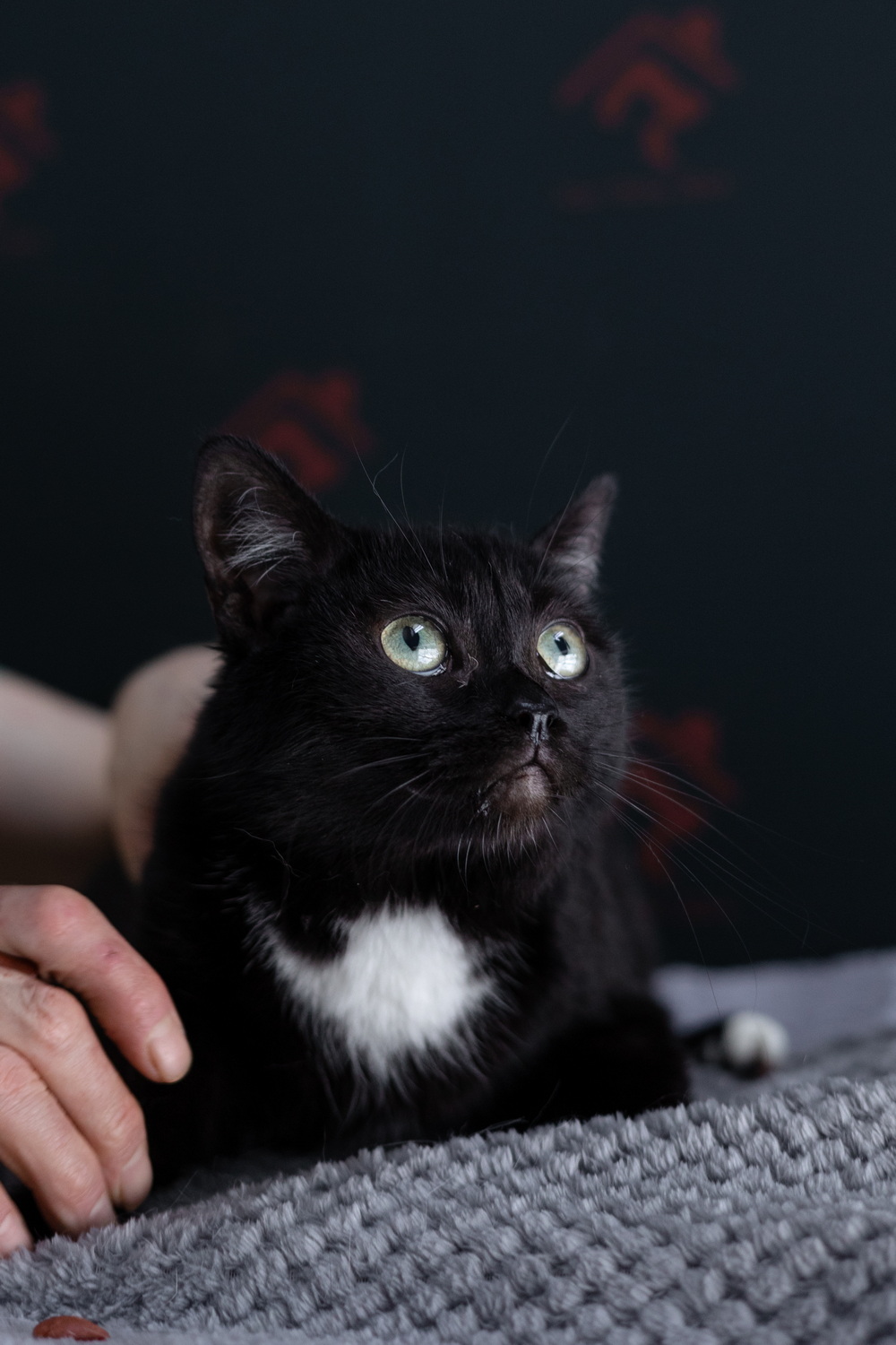 ph: Елена Тимофеева