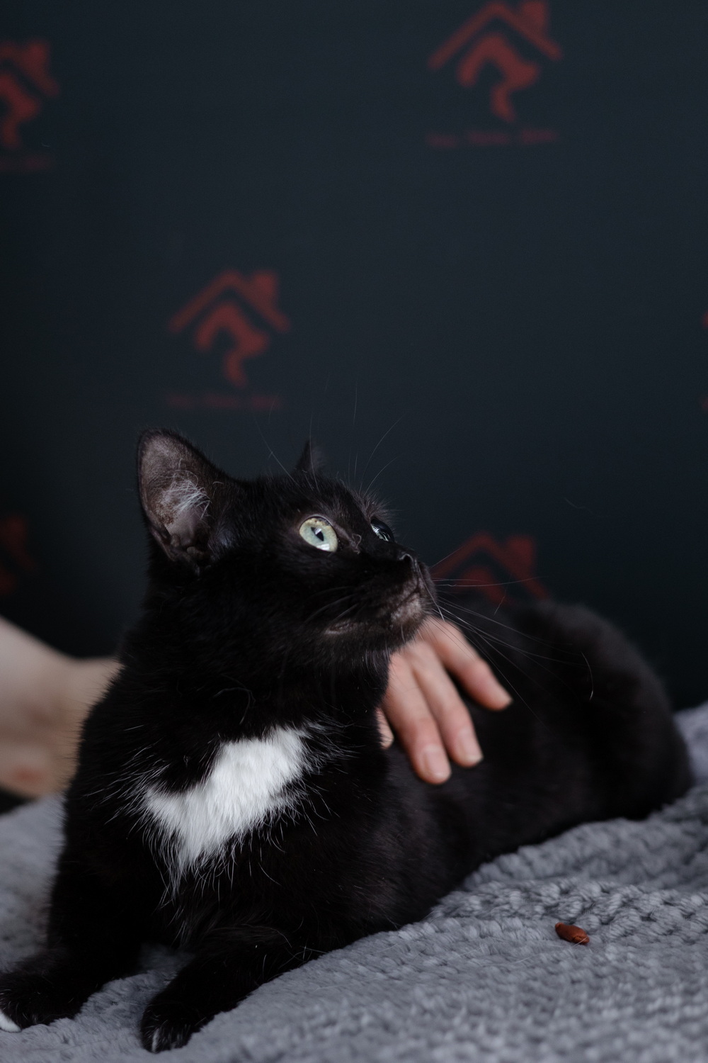 ph: Елена Тимофеева