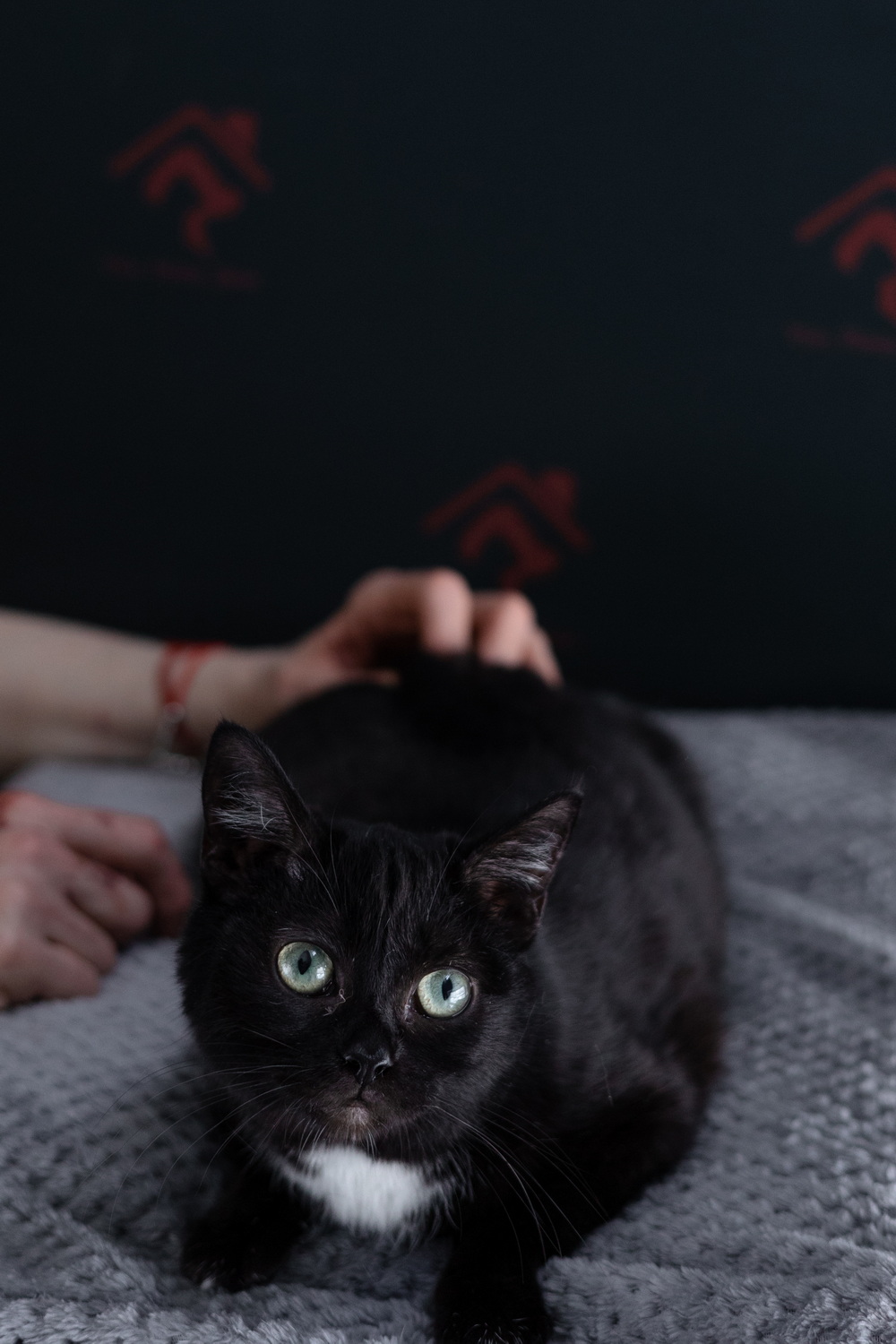 ph: Елена Тимофеева