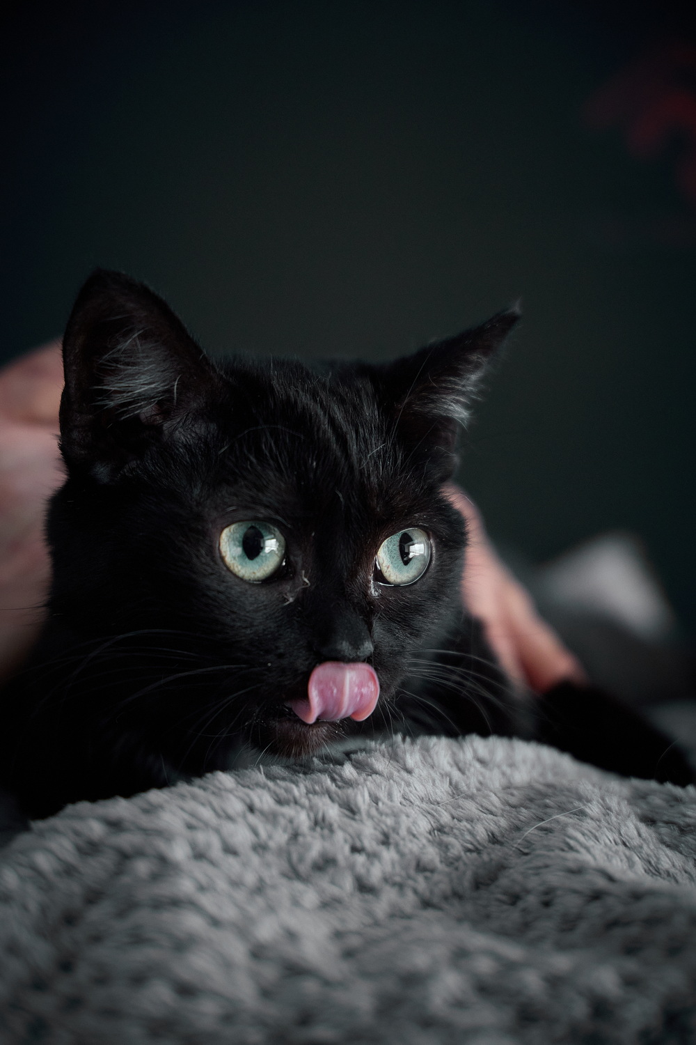 ph: Николай Коба