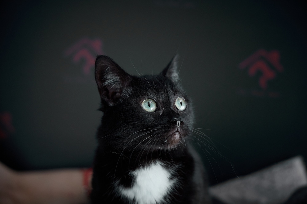 ph: Николай Коба