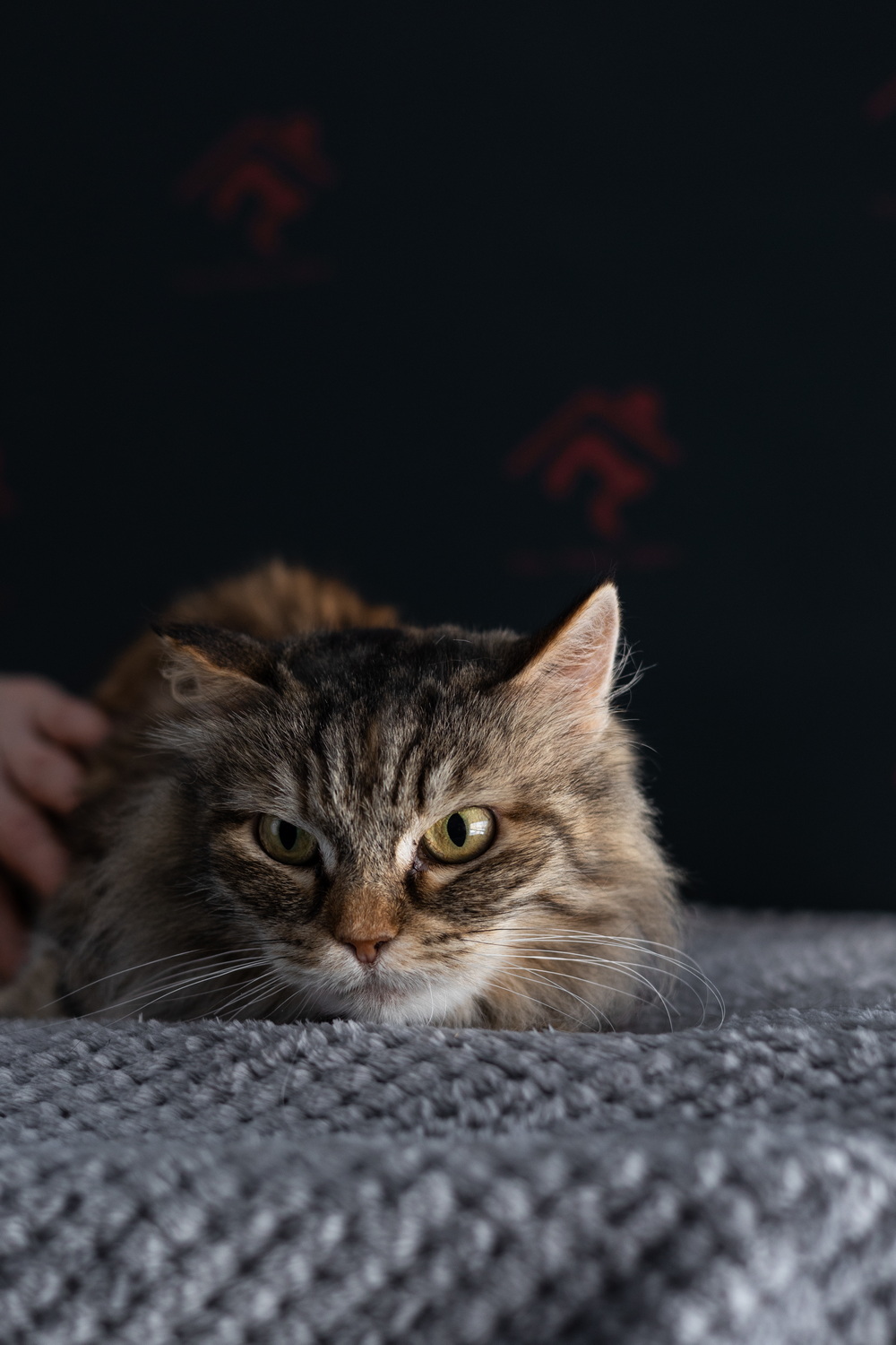 ph: Елена Тимофеева