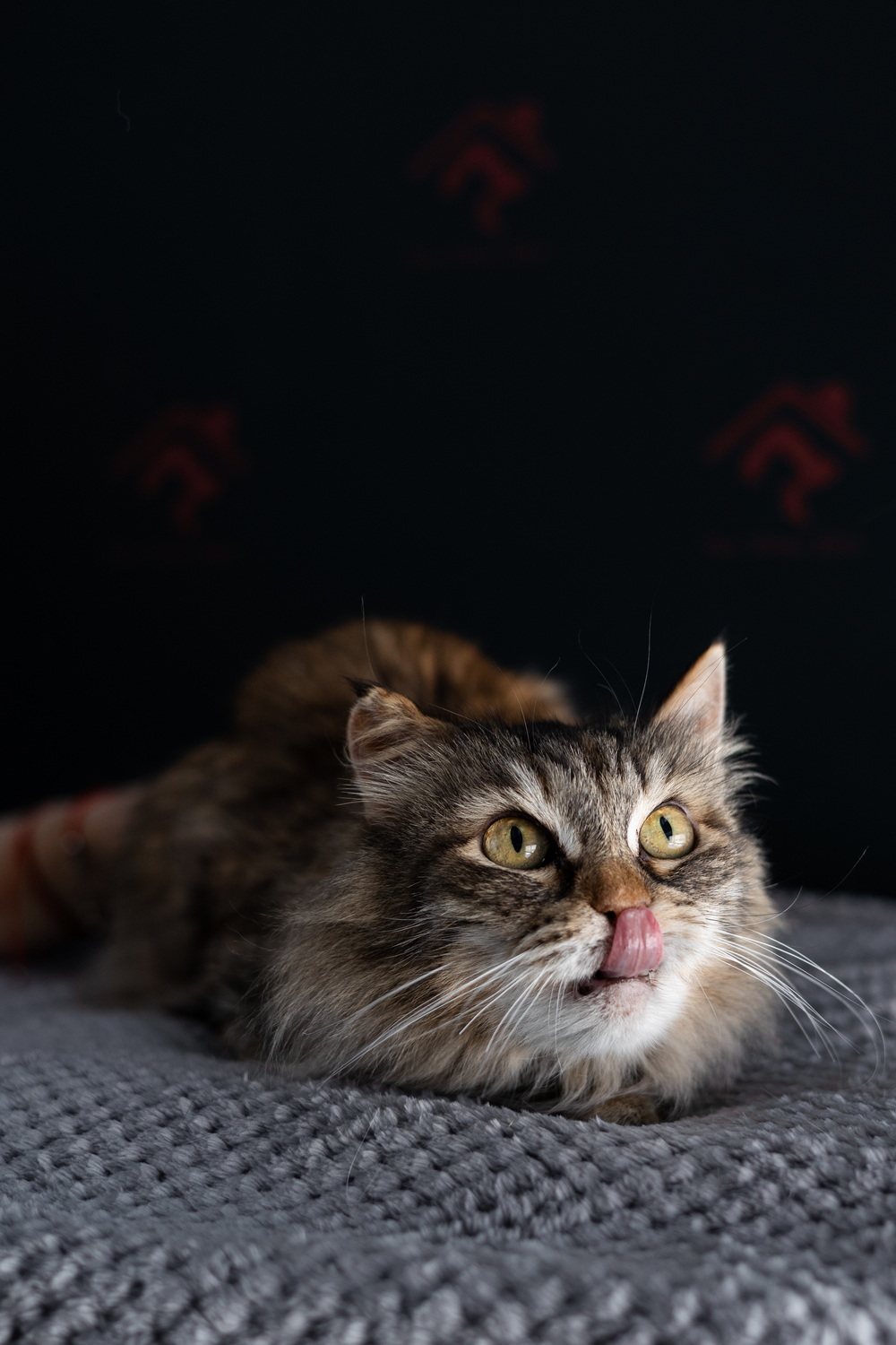 ph: Елена Тимофеева