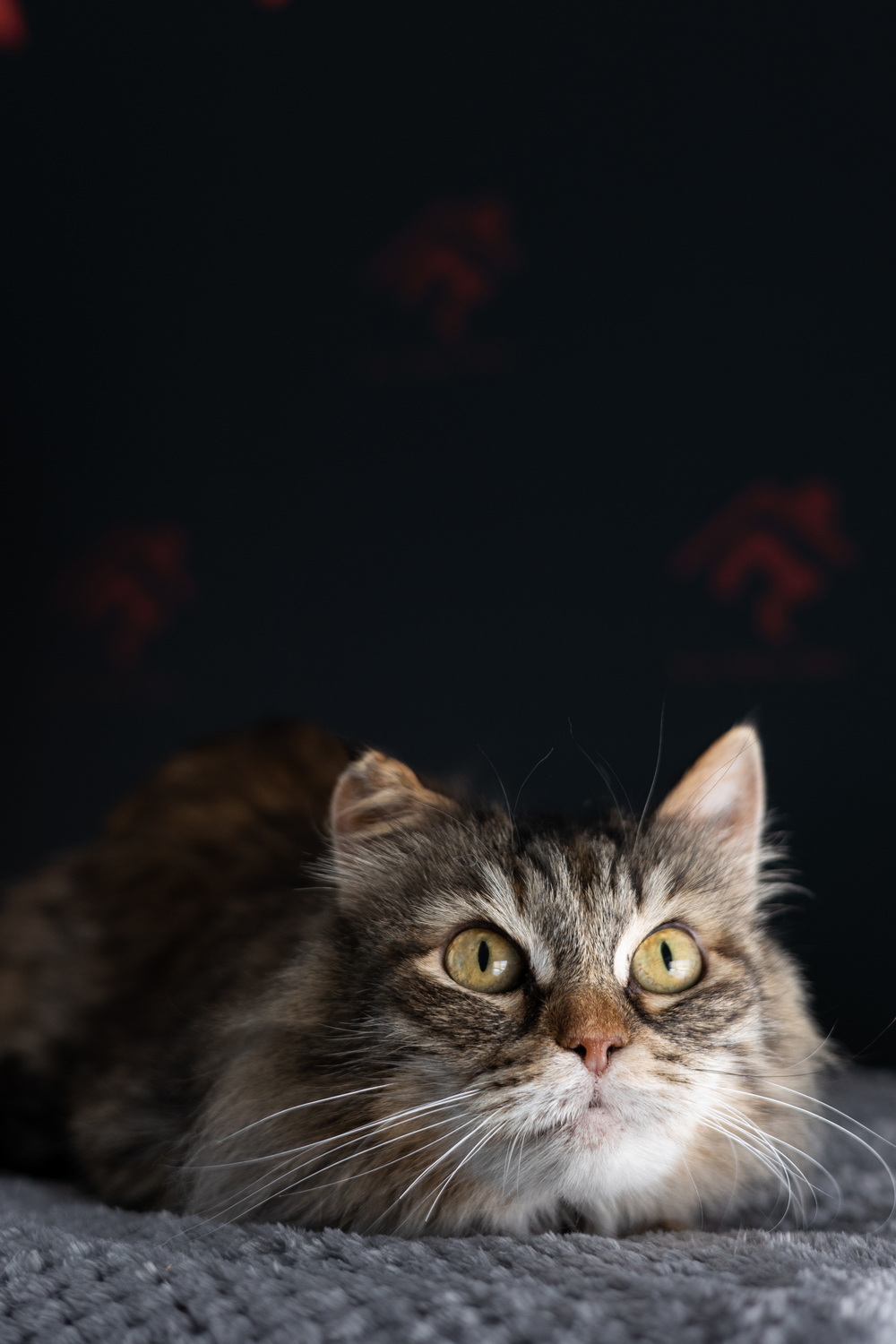 ph: Елена Тимофеева