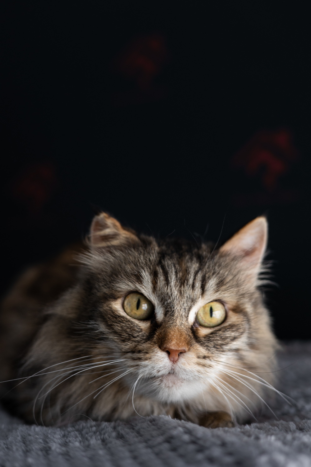 ph: Елена Тимофеева