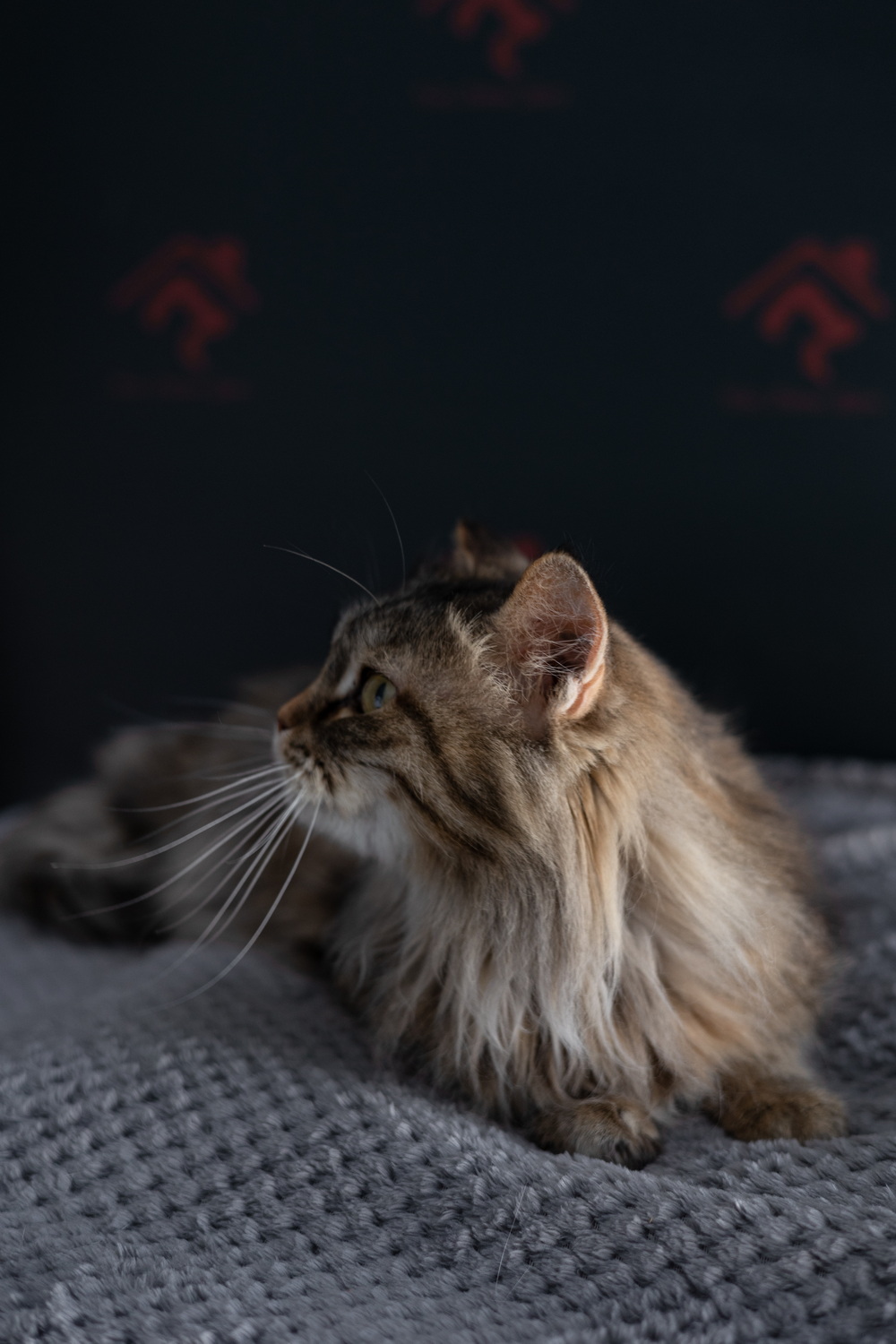 ph: Елена Тимофеева