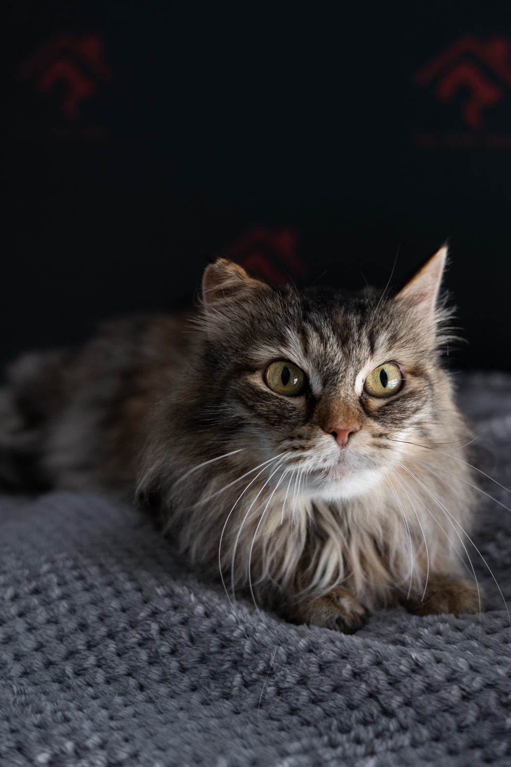 ph: Елена Тимофеева