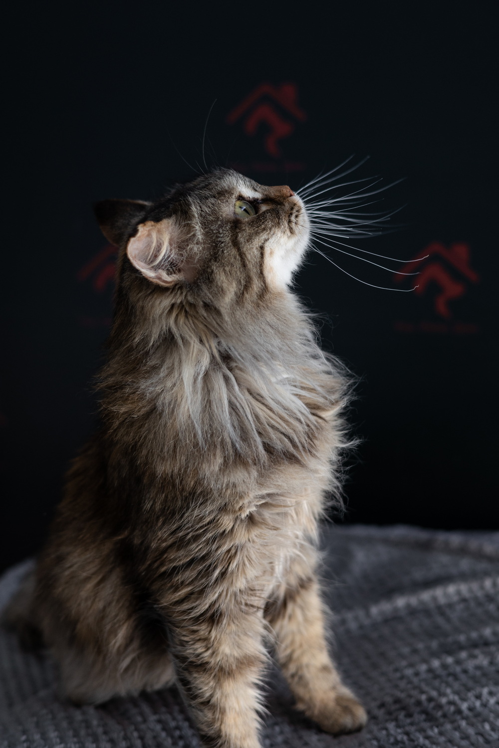 ph: Елена Тимофеева