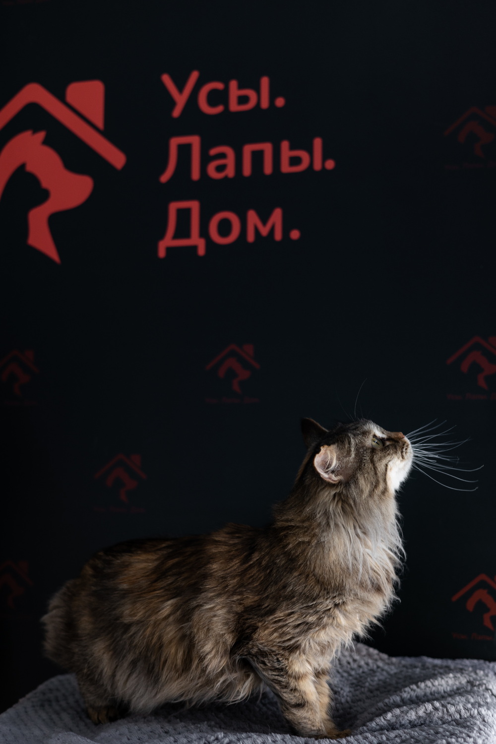 ph: Елена Тимофеева