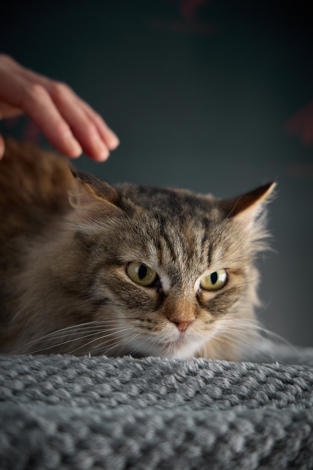 ph: Николай Коба