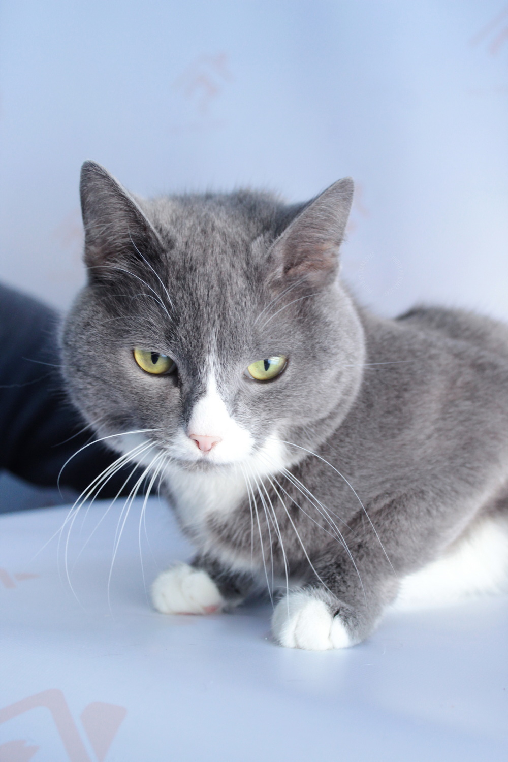 ph: Диана Стафеева