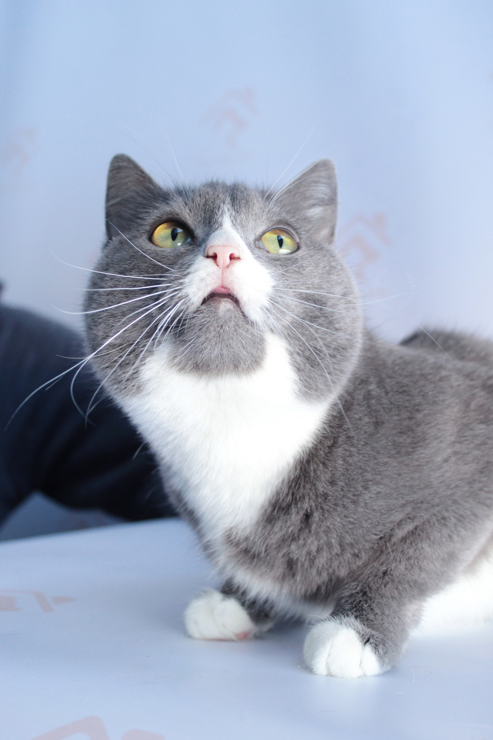 ph: Диана Стафеева