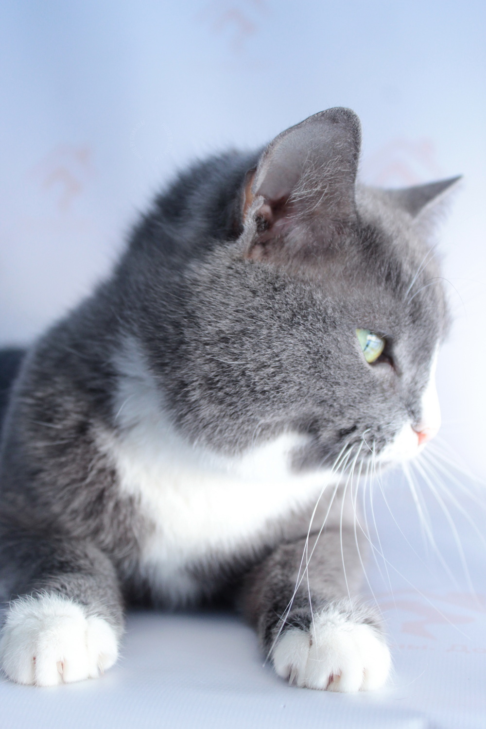 ph: Диана Стафеева