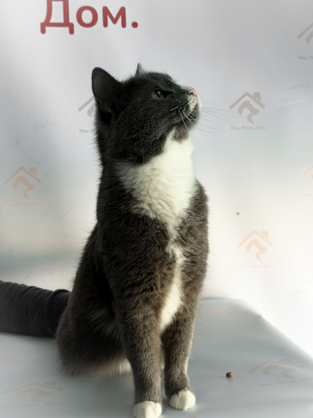 ph: Ирина Никифорова