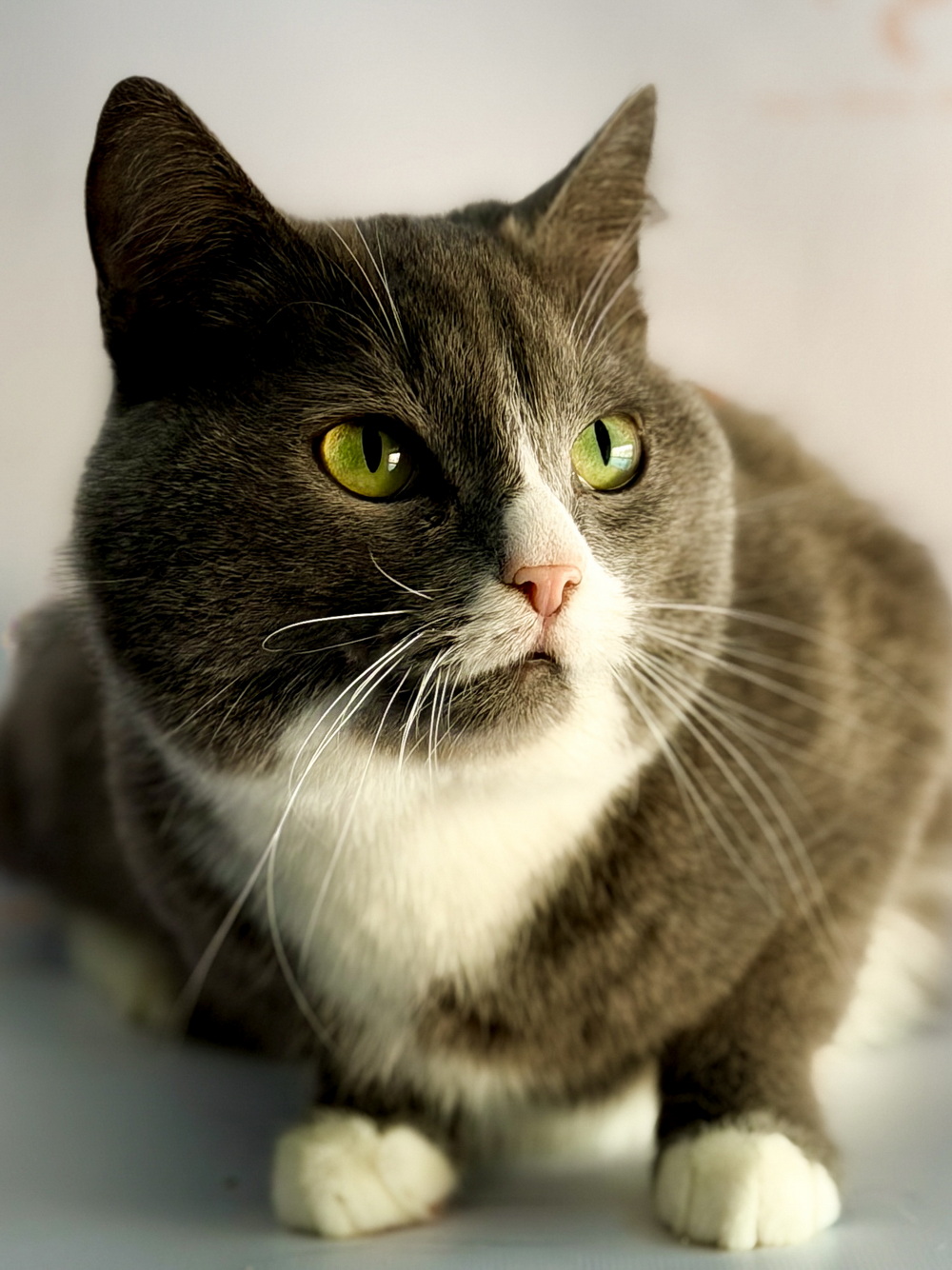 ph: Ирина Никифорова