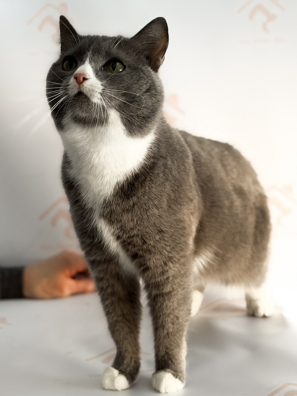 ph: Ирина Никифорова