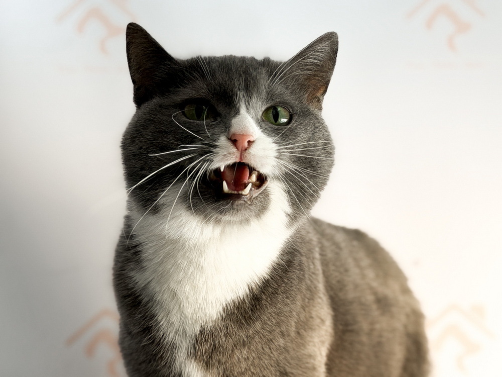 ph: Ирина Никифорова