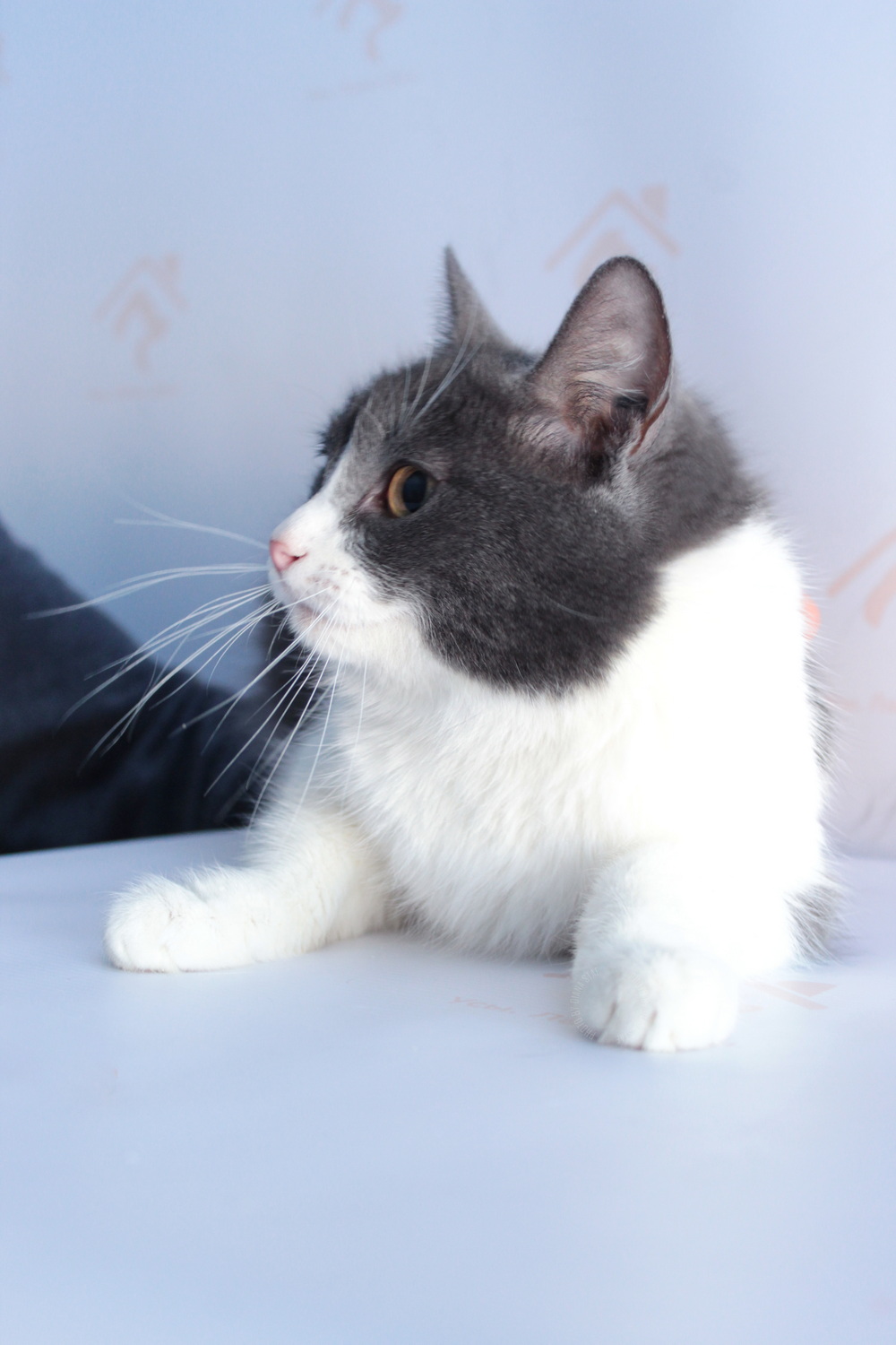 ph: Диана Стафеева