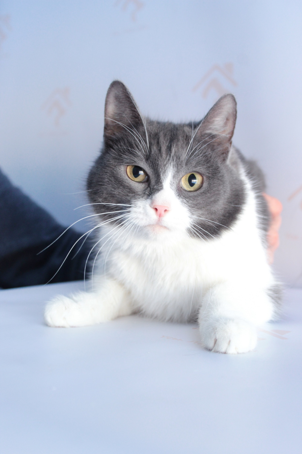 ph: Диана Стафеева