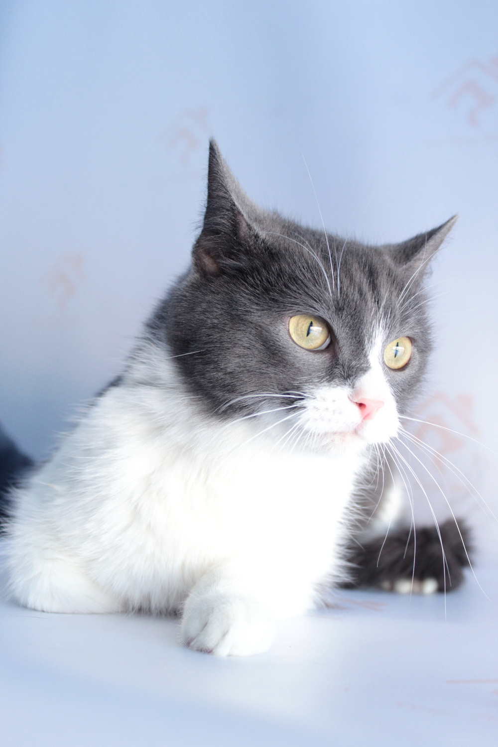 ph: Диана Стафеева