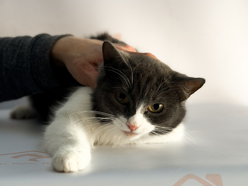 ph: Ирина Никифорова