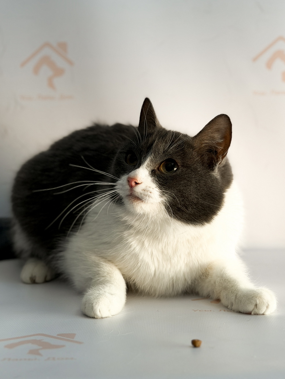 ph: Ирина Никифорова