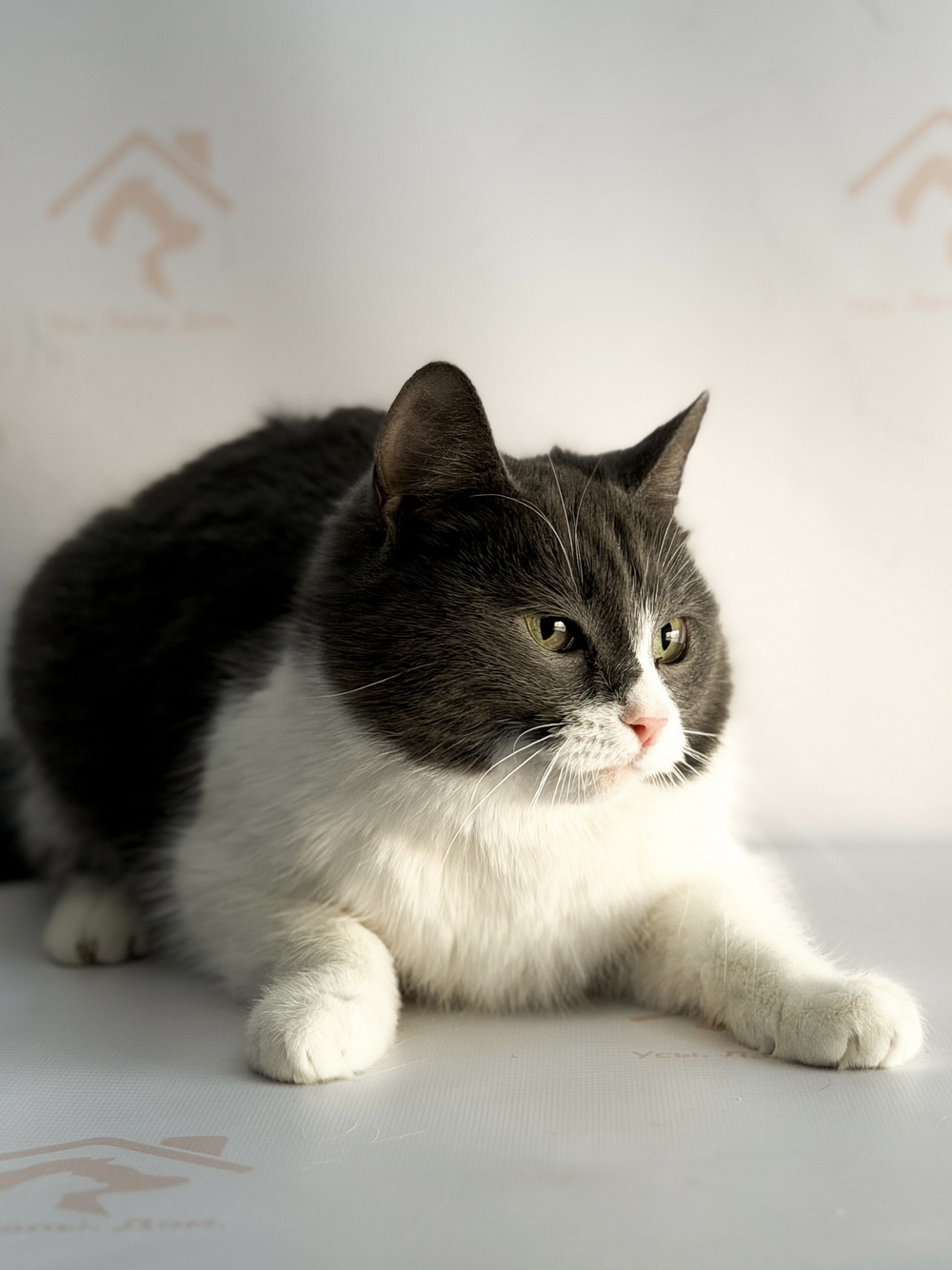 ph: Ирина Никифорова