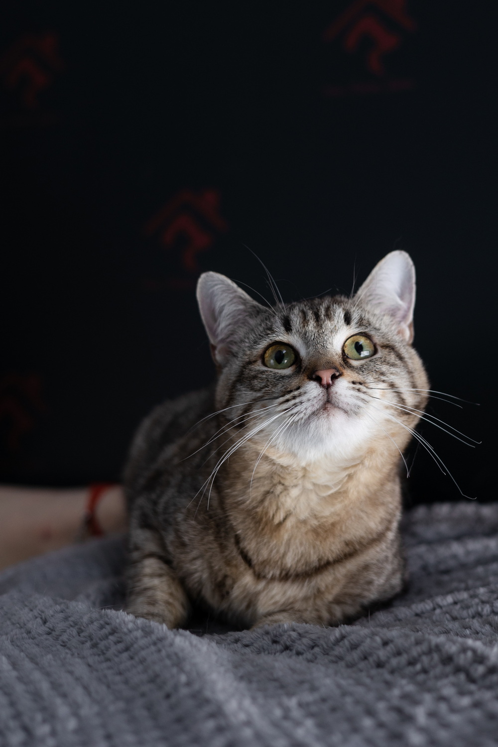 ph: Елена Тимофеева