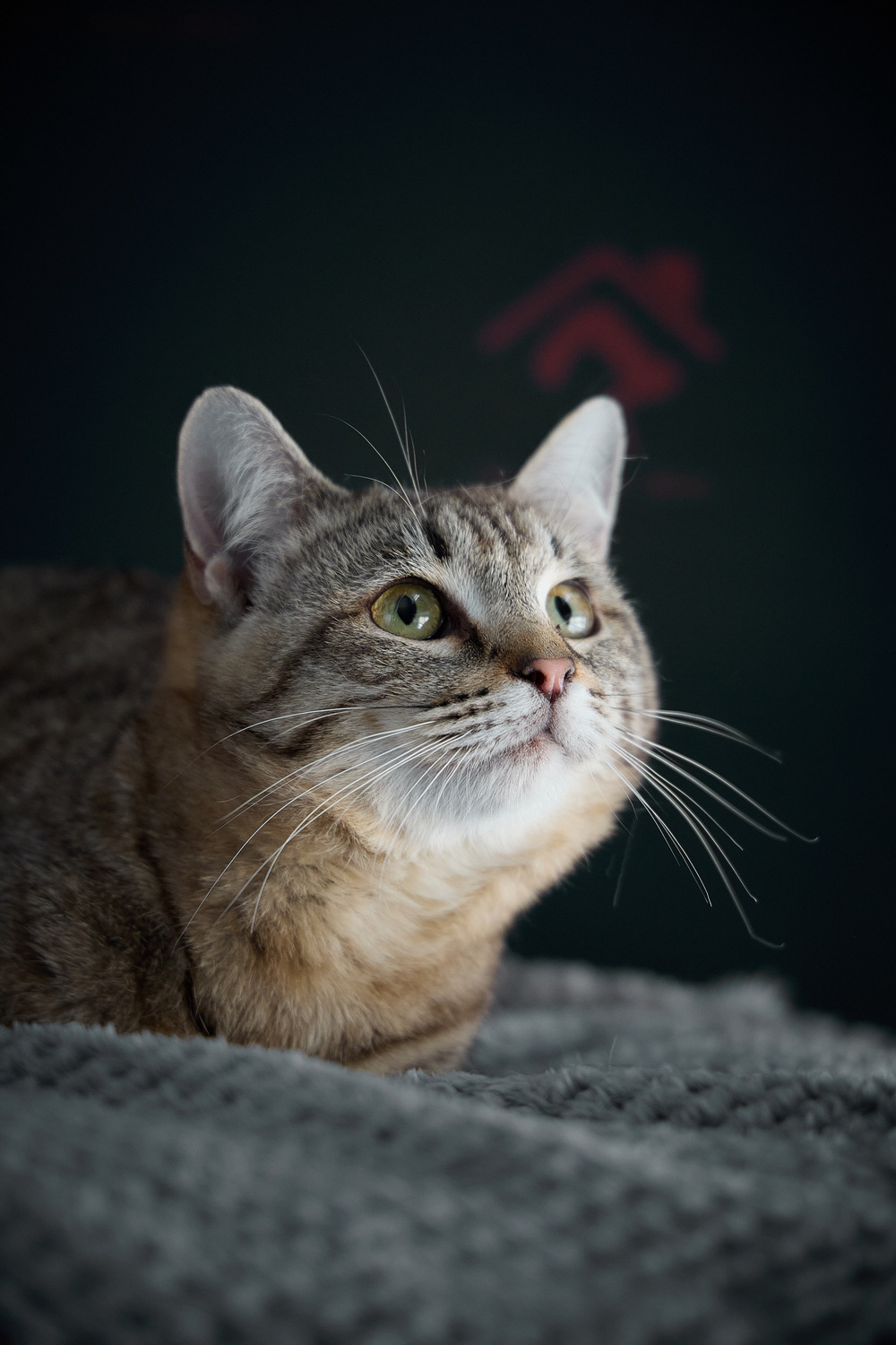 ph: Николай Коба