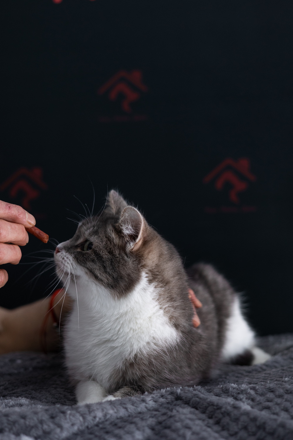 ph: Елена Тимофеева