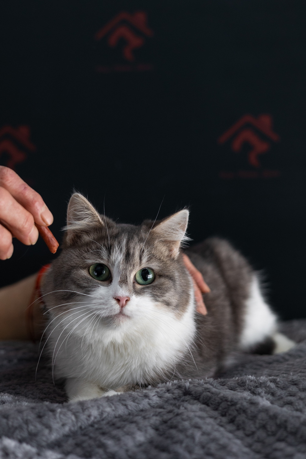 ph: Елена Тимофеева