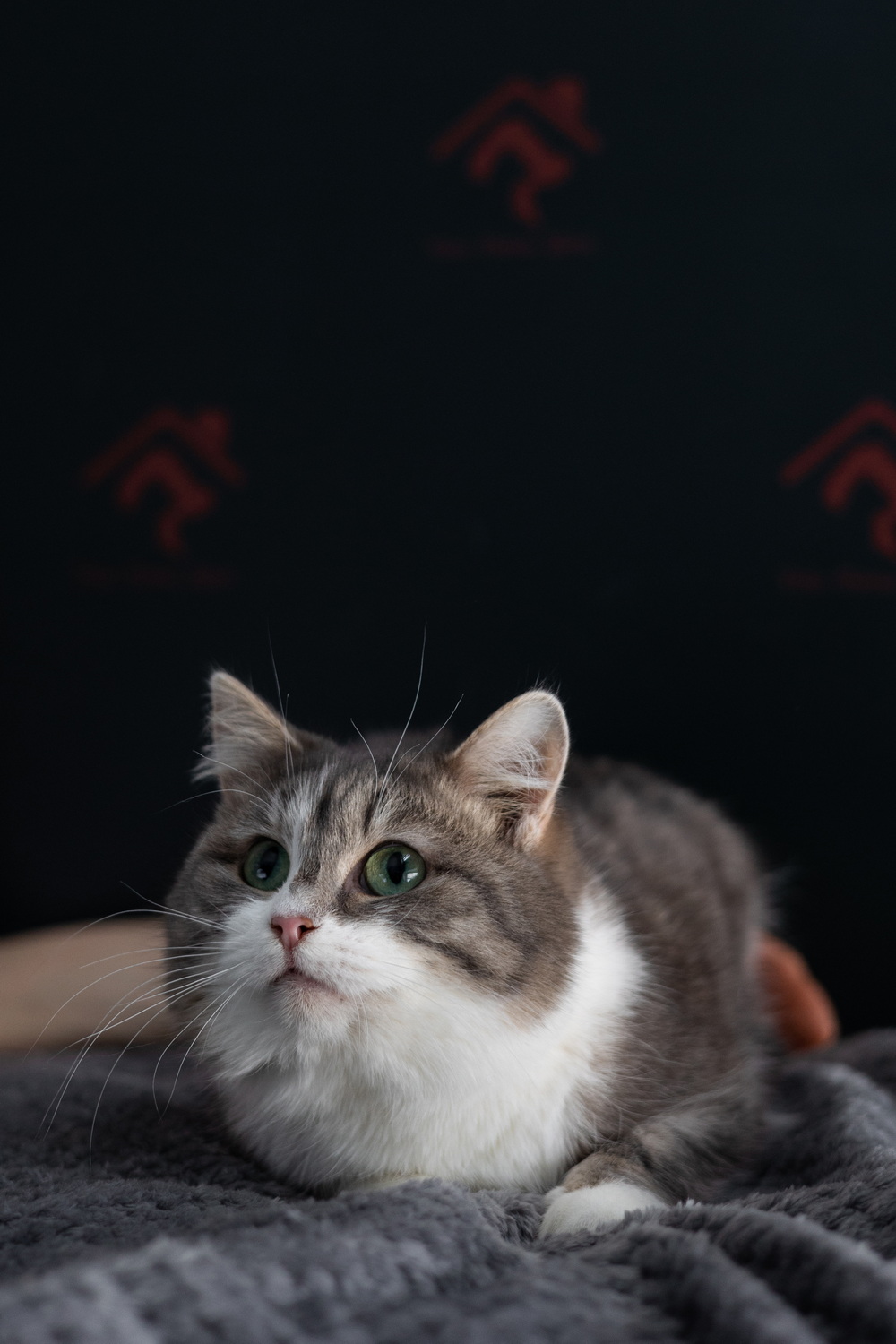 ph: Елена Тимофеева