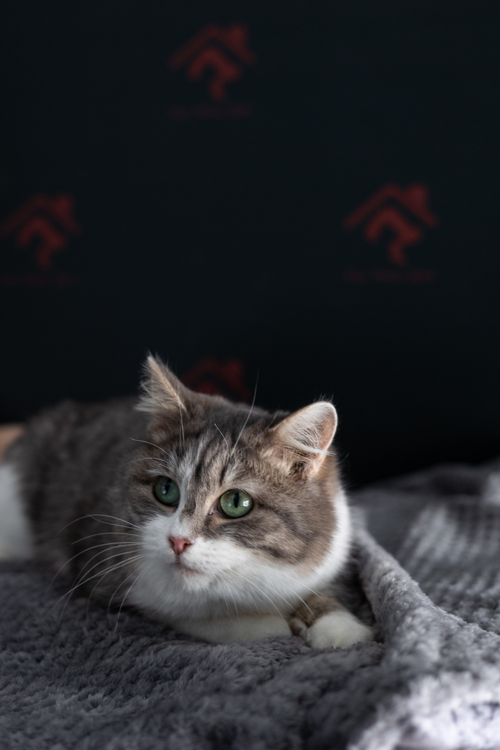 ph: Елена Тимофеева