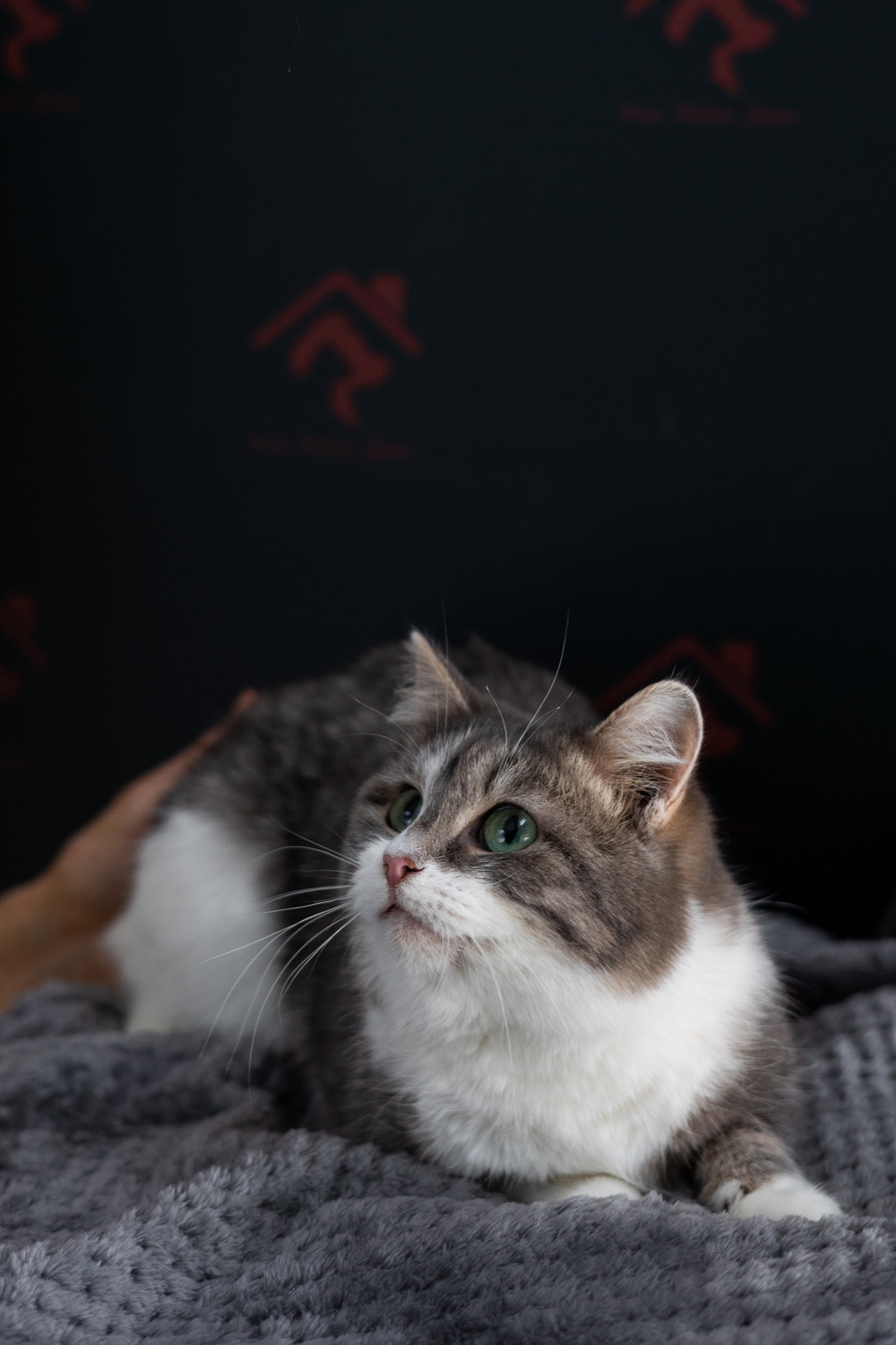 ph: Елена Тимофеева