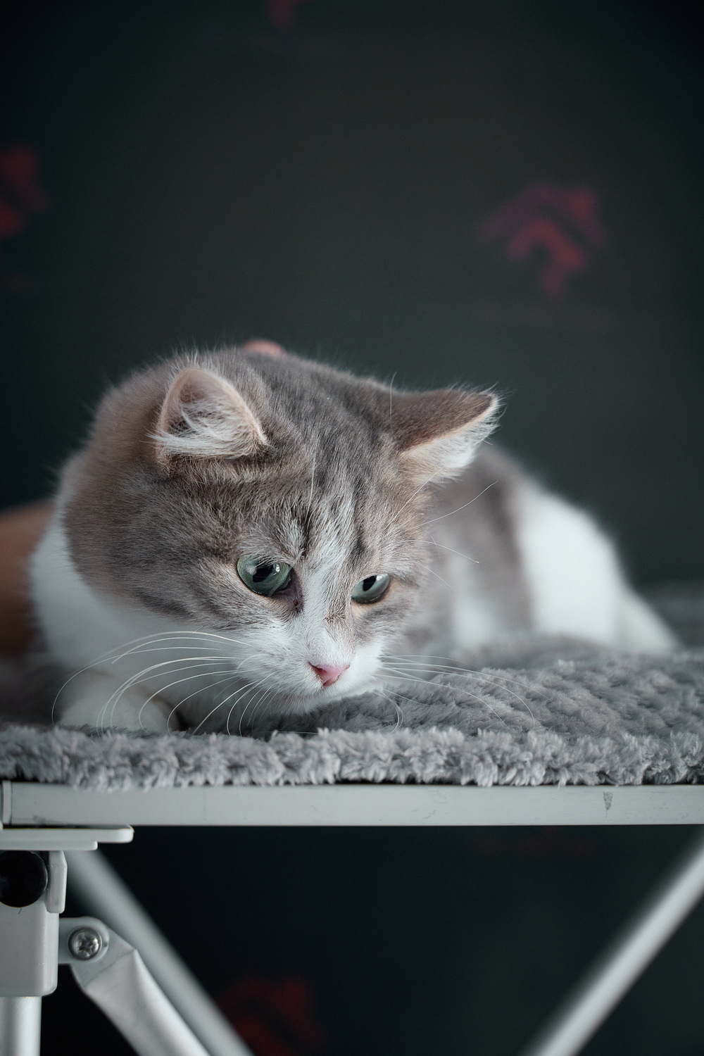 ph: Николай Коба