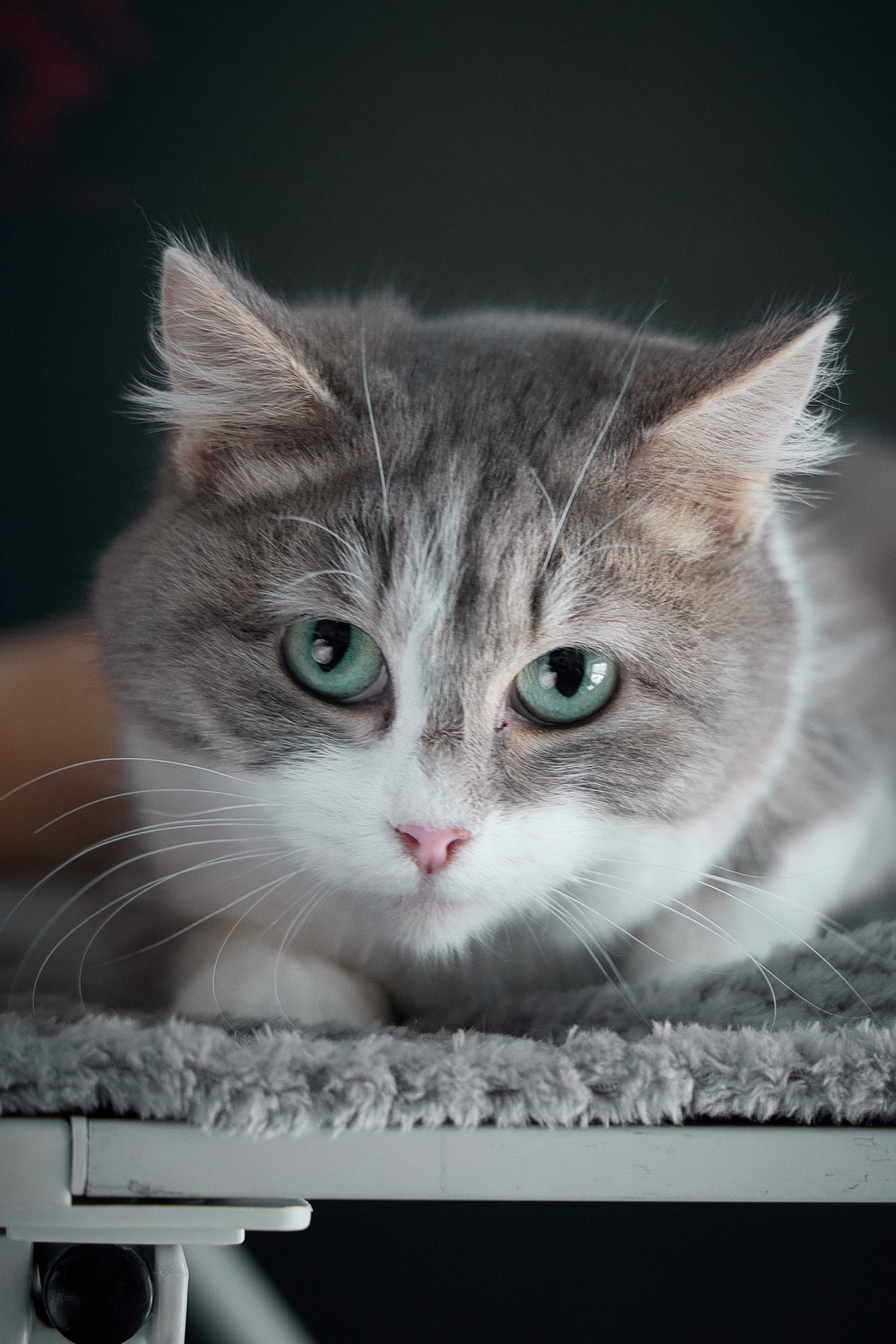 ph: Николай Коба