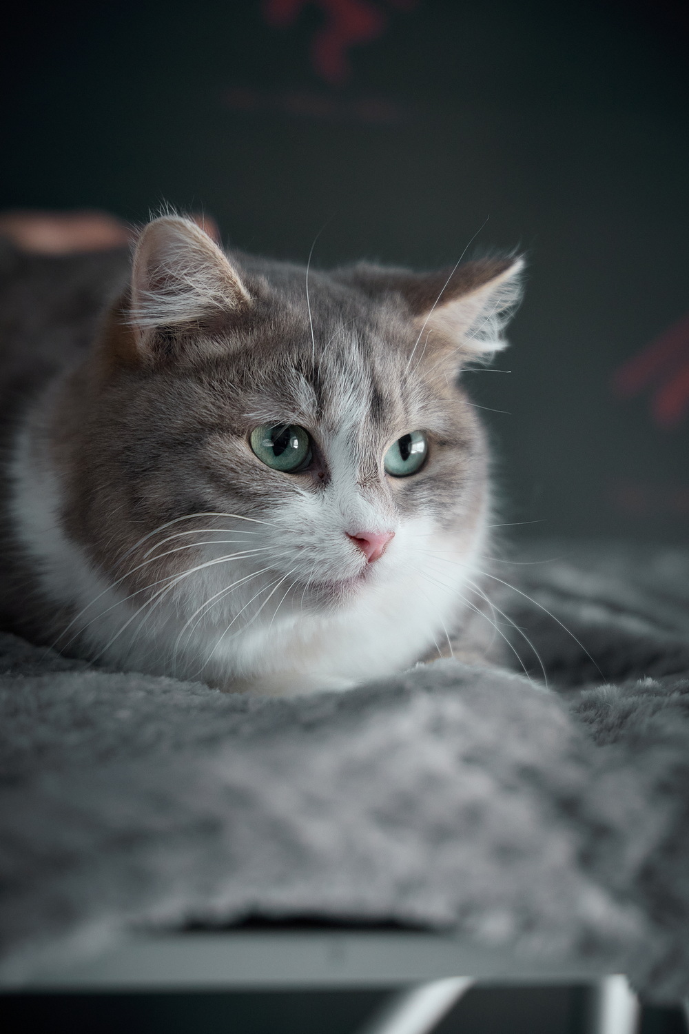 ph: Николай Коба